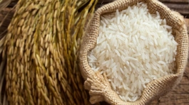 Rice-Parts
