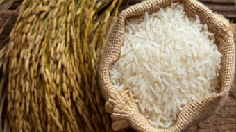 Rice-Parts