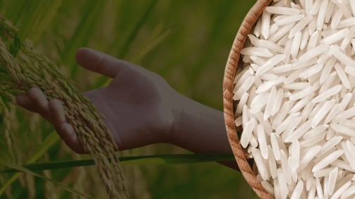 rice-banner