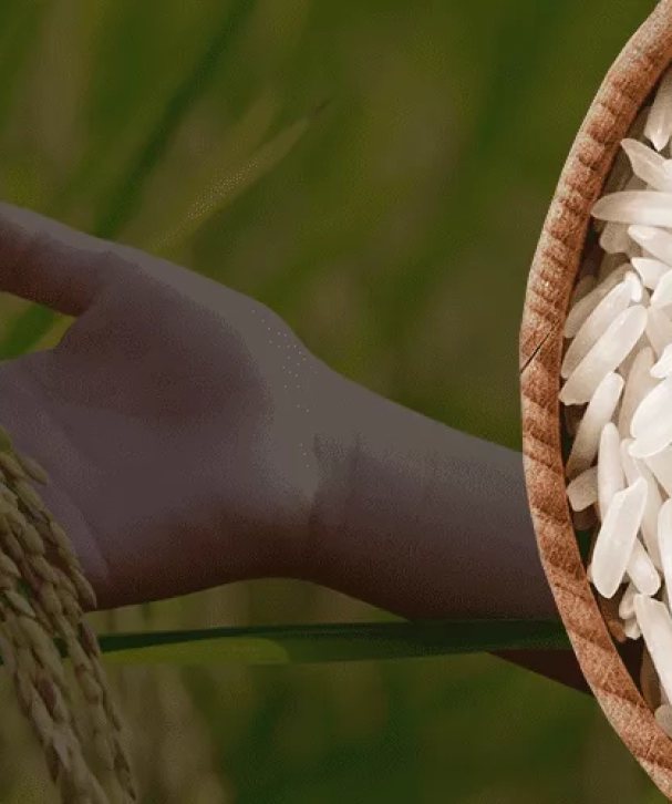 rice-banner